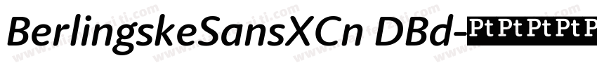 BerlingskeSansXCn DBd字体转换